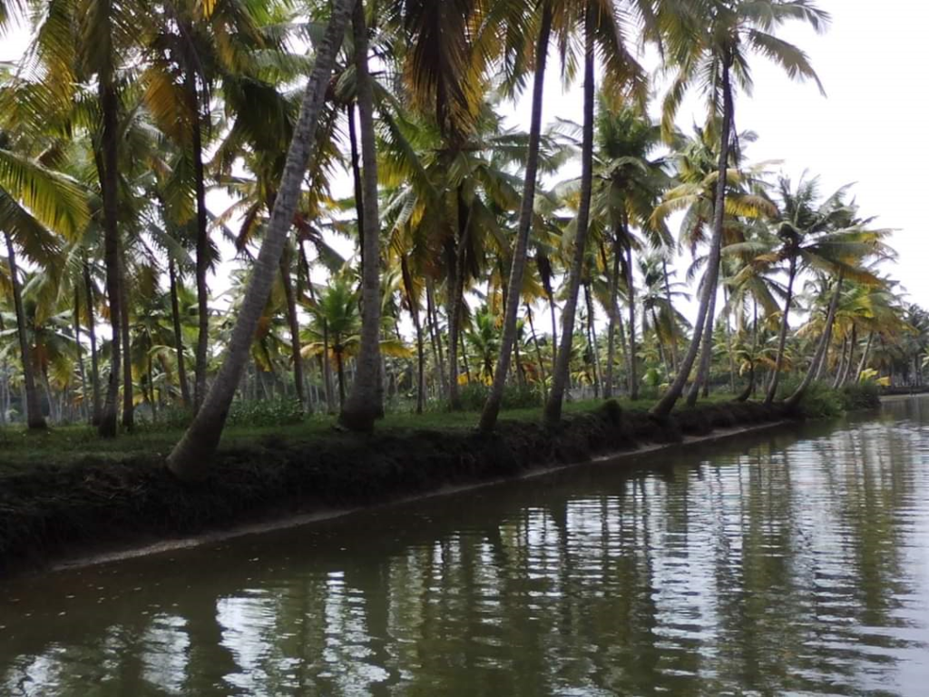 A view of backwaters in Kerala