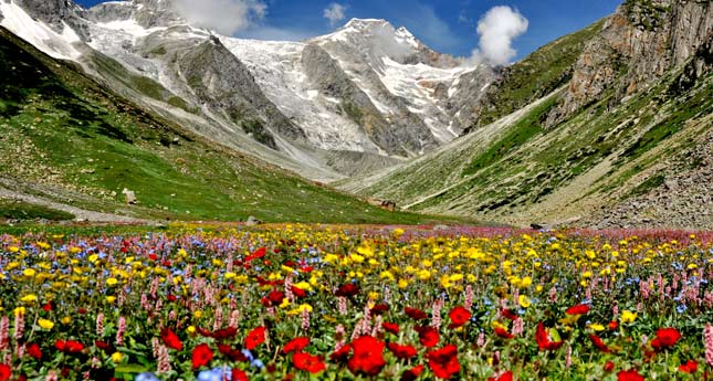 A beautiful scenic view of Valley of Flowers