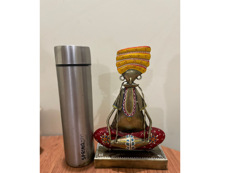 Rajasthani Musician Artist